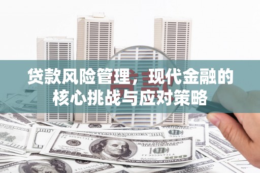同安贷款风险管理，现代金融的核心挑战与应对策略