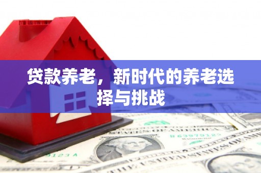 武安贷款养老，新时代的养老选择与挑战