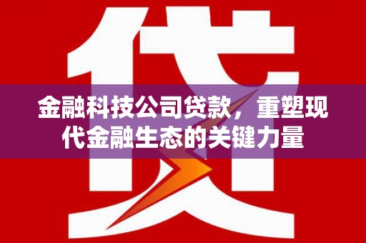 从化金融科技公司贷款，重塑现代金融生态的关键力量