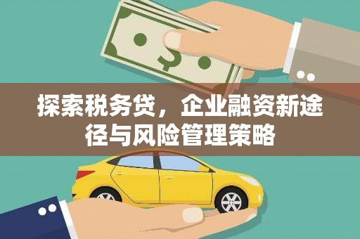 集集探索税务贷，企业融资新途径与风险管理策略