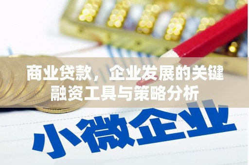 临武商业贷款，企业发展的关键融资工具与策略分析