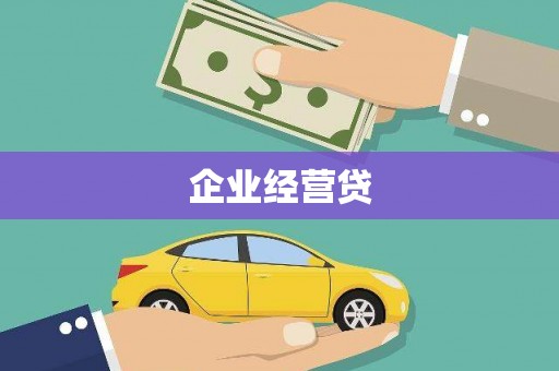 乐安企业经营贷