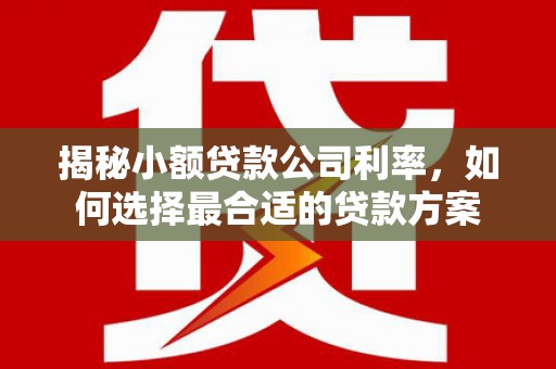 迁安市揭秘小额贷款公司利率，如何选择最合适的贷款方案