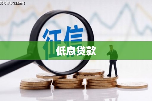 北林低息贷款