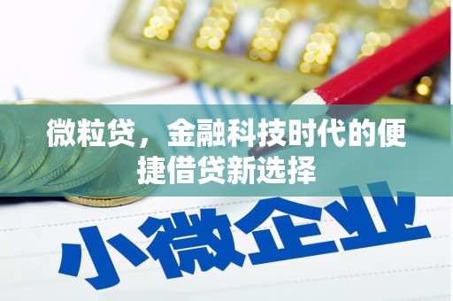 鄂伦春微粒贷，金融科技时代的便捷借贷新选择