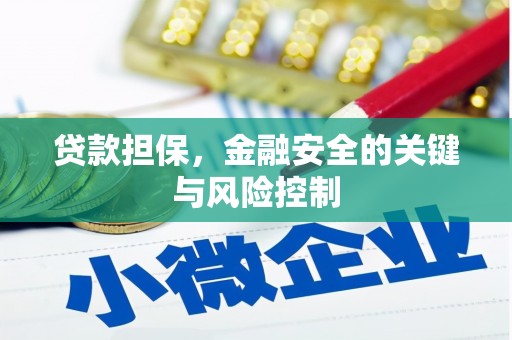 金塔贷款担保，金融安全的关键与风险控制