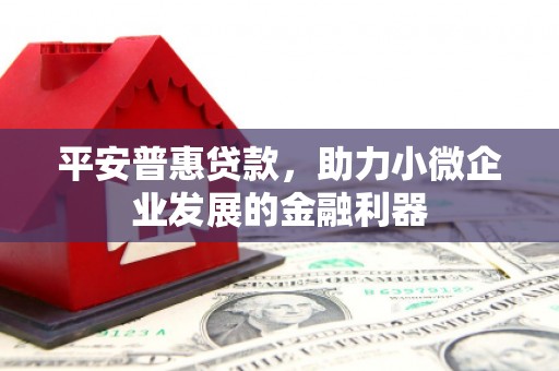 沾益平安普惠贷款，助力小微企业发展的金融利器