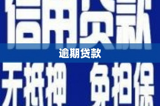 乌拉特中旗逾期贷款