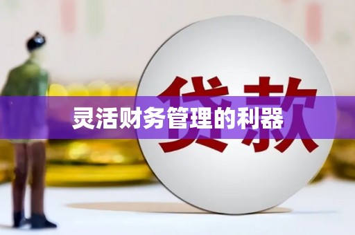 太谷灵活财务管理的利器