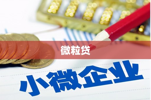 信州微粒贷