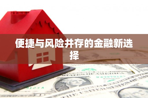 荥阳便捷与风险并存的金融新选择