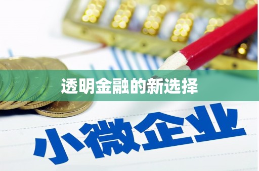 凤城透明金融的新选择